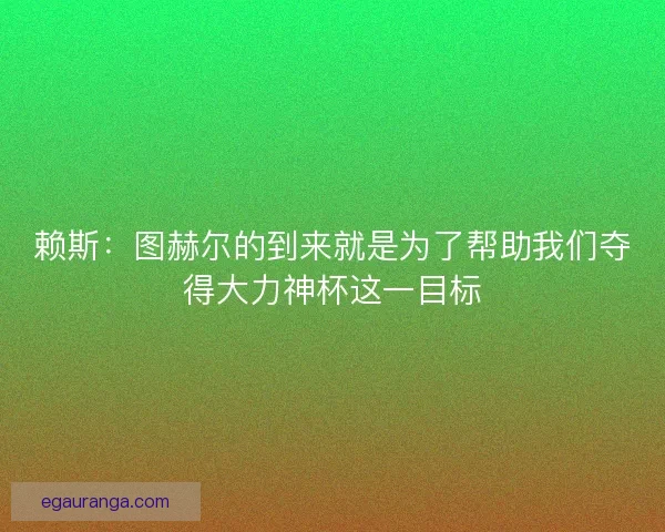赖斯：图赫尔的到来就是为了帮助我们夺得大力神杯这一目标