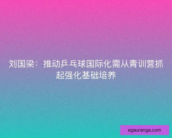 刘国梁：推动乒乓球国际化需从青训营抓起强化基础培养