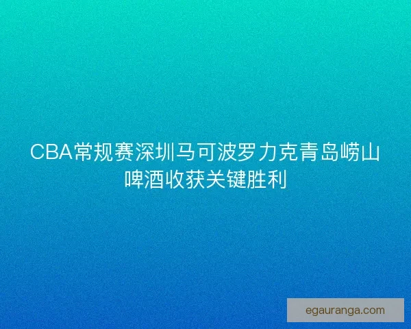 CBA常规赛深圳马可波罗力克青岛崂山啤酒收获关键胜利