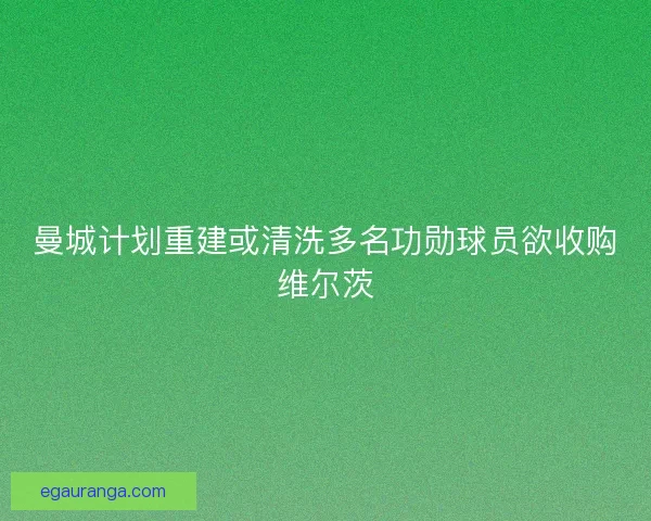曼城计划重建或清洗多名功勋球员欲收购维尔茨 曼城计划重建或清洗多名功勋球员欲收购维尔茨