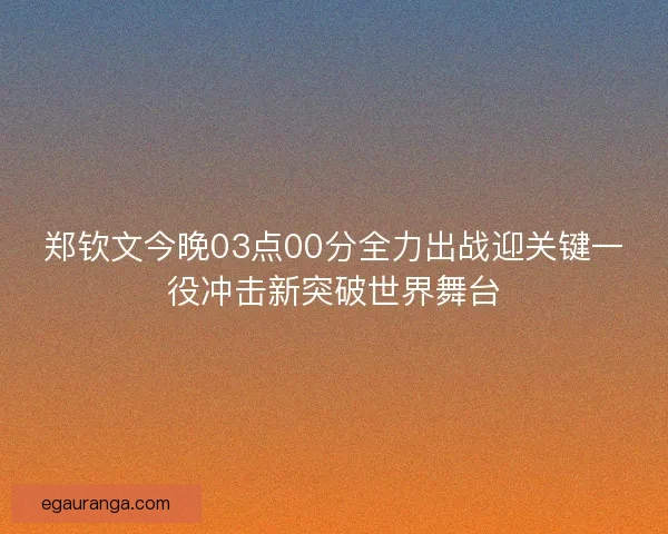 郑钦文今晚03点00分全力出战迎关键一役冲击新突破世界舞台